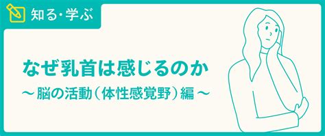 乳首でいく 男|男の乳首はなぜあるの？ 人体形成の過程から、その。